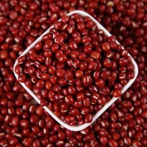 High Quality Small Red/Adzuki Bean New Arrival Healthy <strong>Delicacy</strong> in Food &amp; Beverage - Product Image 2
