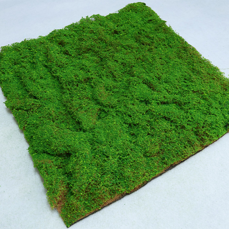 Tapis de mousse en fibre de coco 1*1m