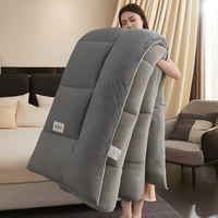 Couette HongYa moderne 100% polyester écologique antibactérienne quatre saisons - Portable pour la maison et les voyages