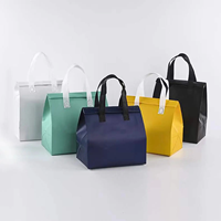 Sac isotherme portable en non-tissé avec feuille d'aluminium pour aliments et boissons, nouveau design, pour emporter