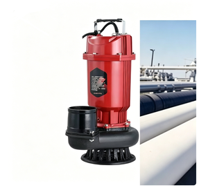 <span class=keywords><strong>Pompe</strong></span> submersible QDX à carter en aluminium, 7m³/h, hauteur <span class=keywords><strong>de</strong></span> refoulement 18m, garantie 1 an, pour projets <span class=keywords><strong>de</strong></span> levage d'eau, directement <span class=keywords><strong>de</strong></span> l'usine Shuangguan - Product Image 1