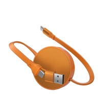 Kabel Data Pengisian Cepat 2-in-1 yang Dapat Diperpanjang dengan Dukungan PD 240W, Input Ganda untuk CarPlay USB/Type-C, Kabel Data dengan Logo Kustom