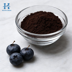 Extrait de Myrtille Naturel en Vrac, Poudre d'Anthocyanine 10% 25%, Extrait de Myrtille Bio pour la Pâtisserie ou la Fabrication de Gâteaux - Product Image 1