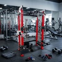 Machine de musculation multifonctionnelle en métal pour usage commercial, entraîneur de force pour tout le corps, exercices pour les bras, Liva LW-LAS04, unisexe, 1 an