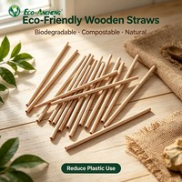 Pajitas de Bambú Ecológicas, Pajitas de Madera Desechables, Biodegradables, Compostables, Naturales, al por Mayor