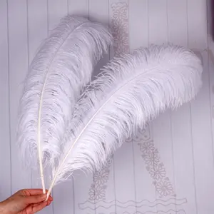 Grosir alami 15-75cm bulu burung unta putih untuk kostum karnaval pernikahan DIY seni Kerajinan Dekorasi