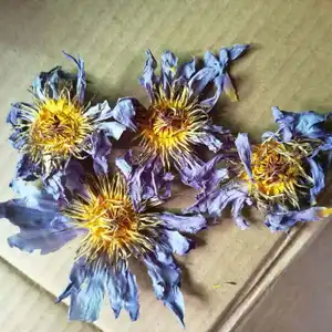 Lan Lian Hua té de flores de loto azul seco relajante egipcio a base de hierbas naturales