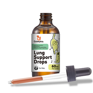 Oem/Odm Fabriek Long & Respiratoire Voeding Vloeibare Druppels Supplement Voor Honden En Katten Ondersteunen Genezende Hoest - Product Image 4