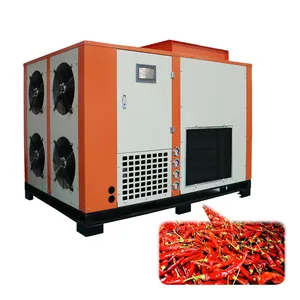 Commerciële Voedsel Dehydrator Machine Fruit Groente Warmtepomp Droger Industriële Vlees Gember Droogoven