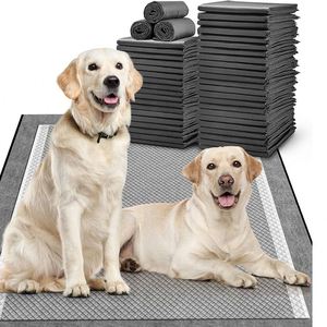 Tapis absorbants jetables pour animaux de compagnie, tapis sain pour l'apprentissage de la propreté des chiens et des chats, tapis anti-fuite, tapis au charbon de bois - Product Image 1