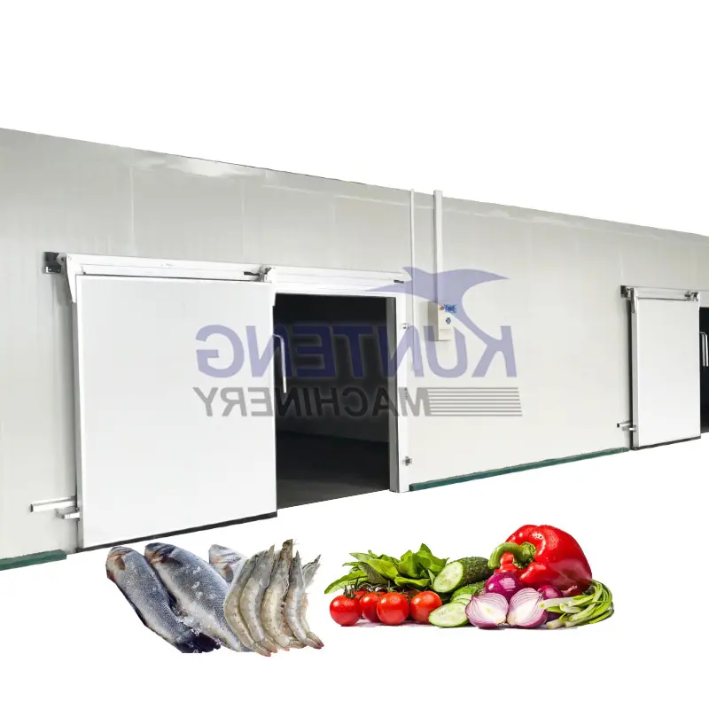 Neubau isolierter kühlraum zur Aufbewahrung von landwirtschaftlichen Produkten Obst Gemüse Lebensmittel Getränke Kühlhaus Gefrierschrank
