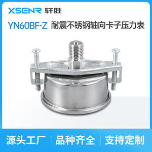 Manomètre en acier inoxydable Suzhou XuanSheng YNBF-60Z 60 mm analogique 10 bars MPa à montage sur panneau - Product Image 5