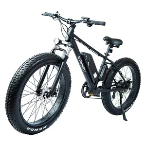 750w bicicletta elettrica motore posteriore ebike mountain bike elettrica ebike dirt bike 750w motor bike mountain ebike con sedile posteriore