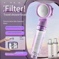 Portable universel économie d'eau pommeau de douche purificateur filtre haute pression Nickel finition pour hôtel toilette salle de douche utilisation de voyage