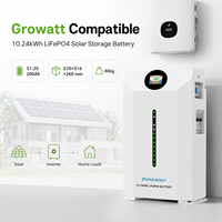 Batería de Almacenamiento Solar Dividida de 10.24kWh, Compatible con Comunicación CAN, Híbrida, Paquete de Baterías LiFePO4 de 51.2V 200Ah para Inversor Growatt