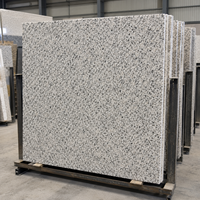 Livraison Gratuite Dalle de Granit Blanc Sésame Poli, Granit Blanc Sésame Unique pour Plans de Travail