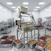 Machine automatique de dénoyautage de dattes, dénoyauteuse de dattes, machine de traitement des dattes, dénoyauteuse de graines de dattes, moteur en acier inoxydable 304