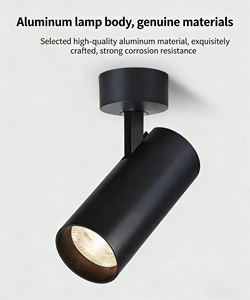 Modern 8W Cob LED Track Lights 220v Aluminum Ceiling & Surface Mounted <b>Spotlights</b> With Non-Perforated Base 220v Led Light - Product Image 4