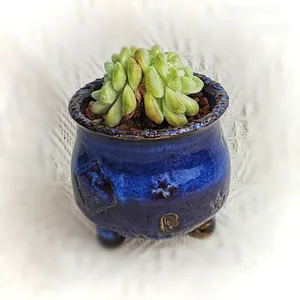 Vaso di fiori in ceramica con Design in stile cinese creativo TangCao per la casa sfuso balcone piante grasse vasi di fiori in ceramica