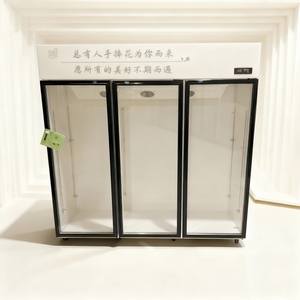 <span class=keywords><strong>Refrigerador</strong></span> Comercial para Exhibición de Flores, Enfriado por Aire, Especializado para Floristerías, Enfriador Viral para Conservación de Flores Frescas - Product Image 5