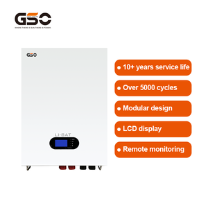 100ah 200ah <span class=keywords><strong>48v</strong></span> 51.2v Lifepo4ソーラー用壁に取り付けられたリチウムイオンバッテリーパック - Product Image 5