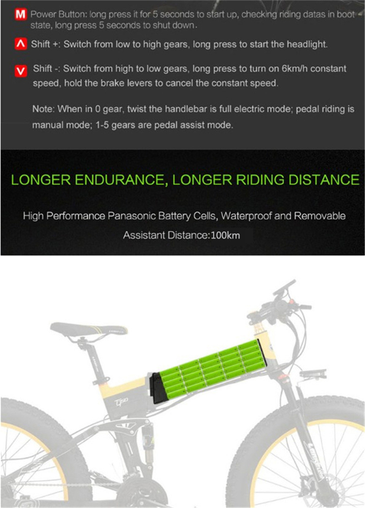 Powerful 1000W motor Electric bicycle MTB