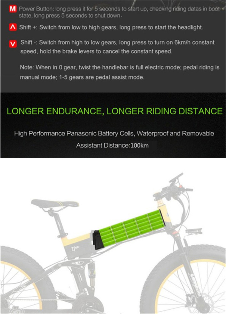 Powerful 1000W motor Electric bike MTB