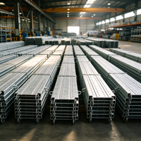 Planche de marche pour échafaudage Ringlock Q355B/Q235 à connexion directe par crochet, idéale pour la rénovation des façades de bâtiments de grande hauteur – Vente directe usine