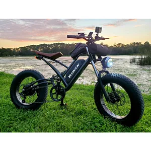 Dropshipping US wholesale YC-UM-01 electric bicycle e bike motorcycle E moped for sale