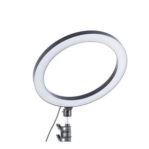 Wholesale Mini 310MM LED Ring Light Selfie Fill Light Photography Ring Light LED Dimmable Phone Fill Lamp - Product Image 3