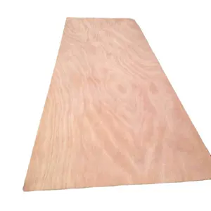 okoume commercial plywood 18mm 12202440mm bintangor commercial plywood 3 6 mm commercial plywood for package