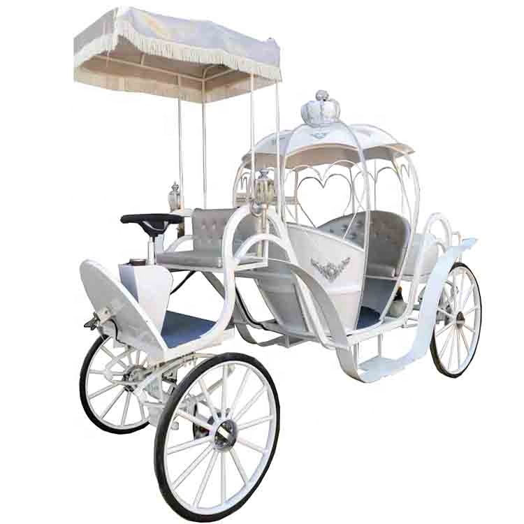Новейший цвет, изготовленный на заказ, туризм, четыре колеса, электрическая тыква, лошадь, каретка