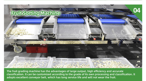 Spazzola Eddo lavapatate detergente per la pulizia della carota macchina per il lavaggio di frutta e verdura - Product Image 6