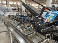 Machine électronique entièrement automatisée d'emballage de boîte de produit Machine de cartonnage de tête de chargeur de souris d'ordinateur