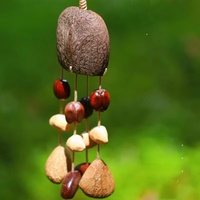 Handgemaakte handgeweven natuurlijke fruitshell windgong hanger Boheemse auto tas charme etnische tribale geluidstherapie ornament voor