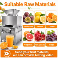 Industriële automatische dubbelrol sapcentrifuge met SUS304 behuizing, multi-voltage voor de productie van meerdere soorten fruitpulp/sap