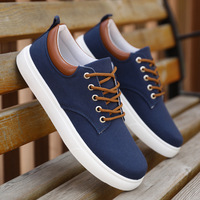 Chaussures en toile tendance pour hommes printemps-hiver – Respirantes, confortables, antidérapantes, à lacets, grandes tailles, en maille