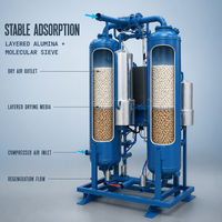 Sécheur d'air comprimé déshydratant industriel DM110MR avec une capacité de 11,5 Nm3/min pour la purification de l'air et les machines pneumatiques