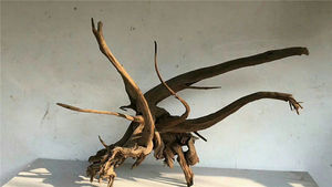 <span class=keywords><strong>Aguja</strong></span> de madera de teca púrpura para acuario, pecera profesional de madera de deriva para acuario - Product Image 6