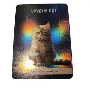 Tarjetas coleccionables holográficas personalizadas, juego de cartas coleccionables de estrella de papel de aluminio con bolsas de papel de aluminio, paquetes de refuerzo impresos a pedido - Product Image 3