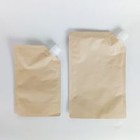 Pochette à bec en papier Kraft de 50ml avec capuchon rabattable quantité minimale de commande 500 pour shampooing savon à main détergent à lessive sac liquide avec gravure