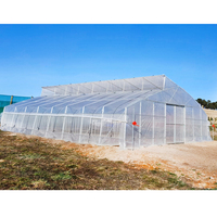 Conception de fenêtre de toit de serre agricole à dents de scie à faible coût et grande envergure pour la culture de légumes dans les serres tunnel