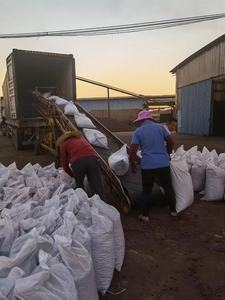 Keramik Ringan Leca Clay Pebbles Media Tanam Anggrek Akuaponik Akuakultur Hidroponik Bernapas Ukuran S/<span class=keywords><strong>M</strong></span>/L 2.5L - Product Image 4