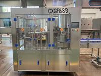 Machine de remplissage et de bouchage automatique de bouteilles d'eau en plastique, machine d'emballage automatique d'eau minérale