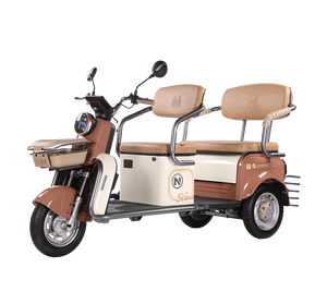 Продает рефрижератор электрический велосипед 2 Elecartc trermotos 500W, 650W, 800W 48V 2 сиденья Carguero открытый пассажир 7-9h 351 - 500w - Product Image 1