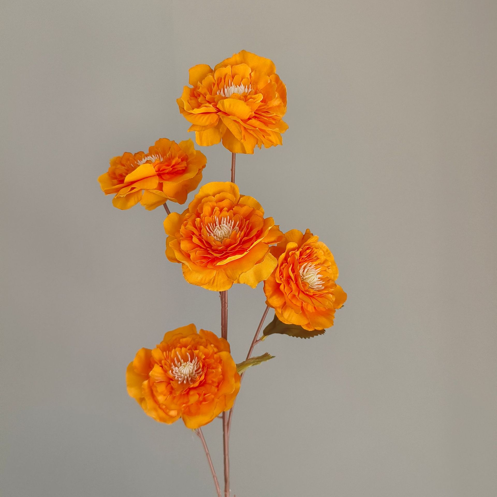 9#