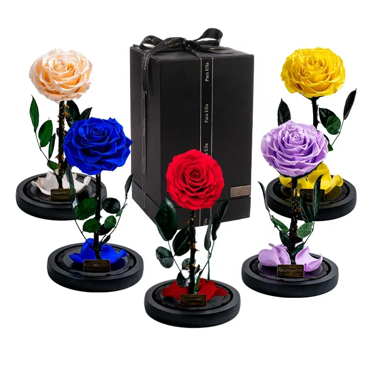 Roses éternelles éternelles pour toujours, longue tige, infini immortel, conservées dans une boîte cadeau en dôme de verre avec marque pour la fête des mères