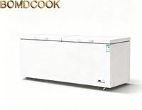 Congélateur coffre commercial grande capacité pour usage professionnel et hôtelier, congélateur/réfrigérateur à température unique