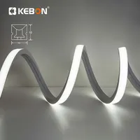 Hoch effizientes dekoratives Lumaflex 120leds/m Wasserdichtes IP67 Outdoor Flex 1010 LED Neon Rope Light
