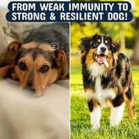 YB 17-en-1 Gouttes multivitaminées organiques à absorption rapide, riches en protéines, à base de Turkey Tail et Lion's Mane, pour le soutien immunitaire des chiens de toutes races